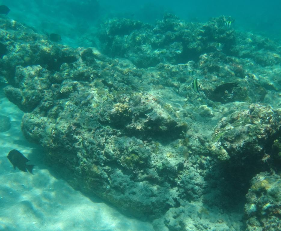 Wera Beach Kadumbul Esterno foto