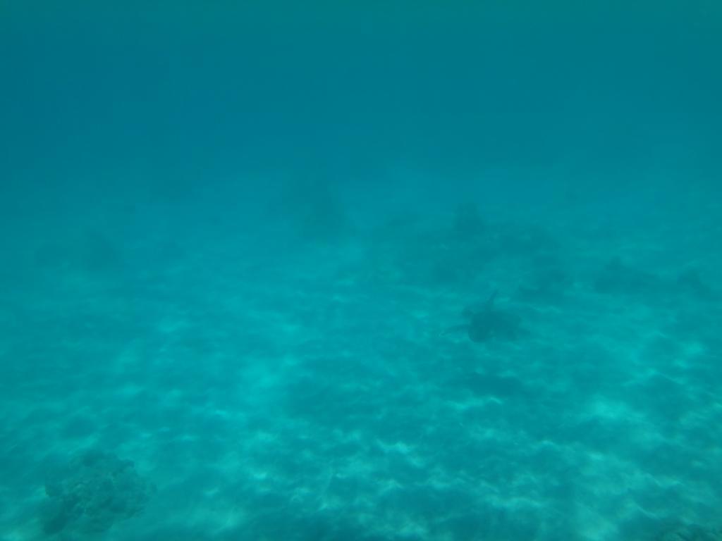 Wera Beach Kadumbul Esterno foto
